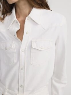 The Classic Shirt -- Au Natural Clean -FRAME Clothing Shop 7035182 AUCL 3215 shirt front detail image