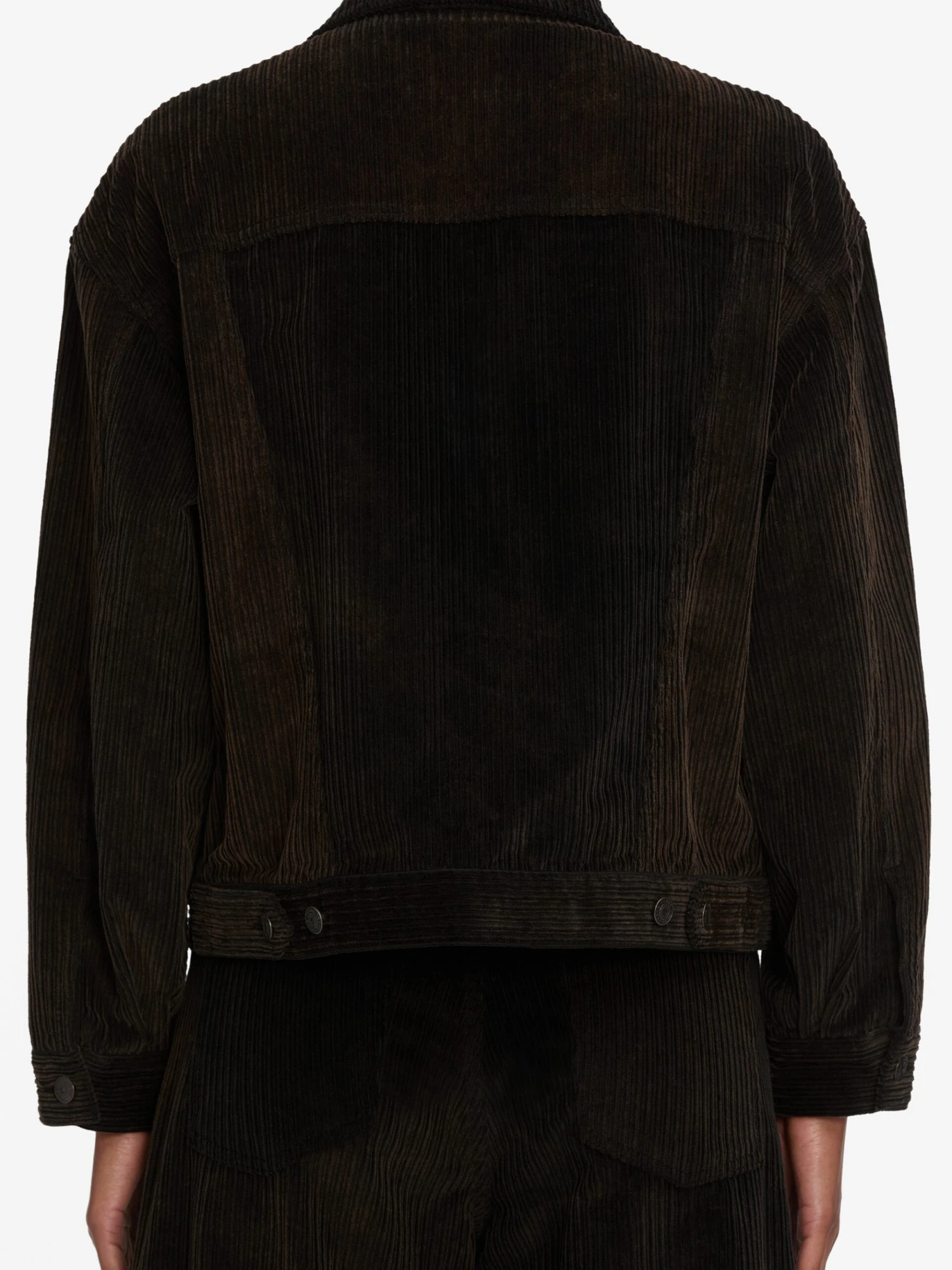 The Corduroy Jacket -- Umber 5 The Corduroy Jacket -- Umber - Image 5