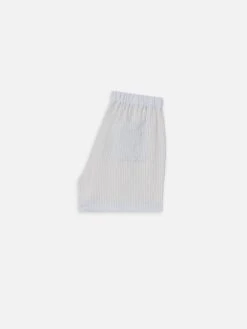 Men's Blue Pinstripe Tailored Shorts – Pleated Resort Style Summer Bottoms -FRAME Clothing Shop ME25WST002 BLST B 2c8066c3 db27 471a 92dd 9fa2e91b4de5 shorts back packshot image