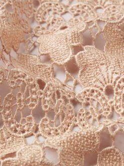 The Lace Button Up Shirt -- Blush -FRAME Clothing Shop WE24WSH010 BLSH FABRICDETAIL top texture detail image
