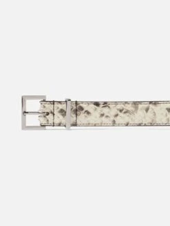 The Snake Square Buckle Belt -- Sand Multi -FRAME Clothing Shop WP26ABT008 SDMU DTL belt buckle detail image