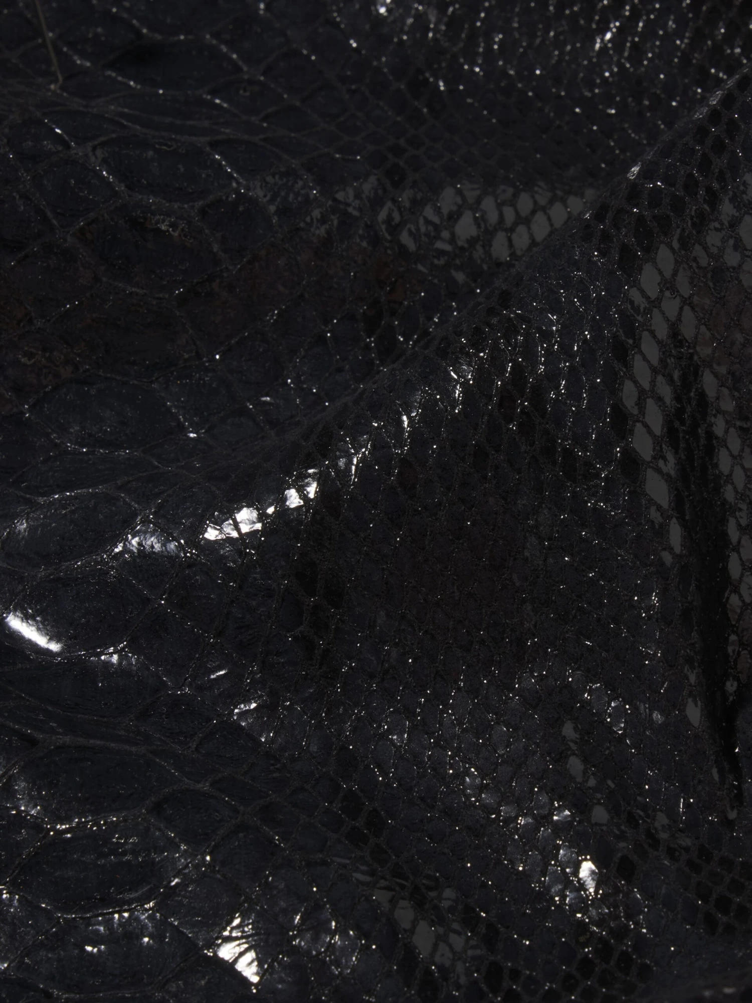 The Leather Rodeo -- Black Snake 7 The Leather Rodeo -- Black Snake - Image 7