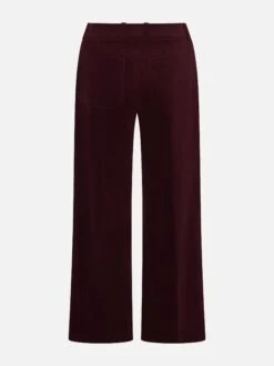 The Modernist Pocket Trouser -- Cabernet -FRAME Clothing Shop WP26WPA010 CBNT B pants back packshot image