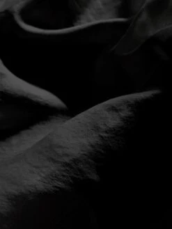 The Silk Organza Skirt -- Black 13 The Silk Organza Skirt -- Black -FRAME Clothing Shop WS25WSK002 black FABRICDETAIL skirt texture detail image