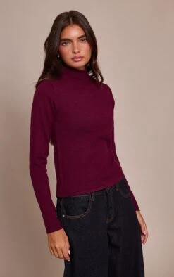 Burgundy Fine Knit High Neck Sweater